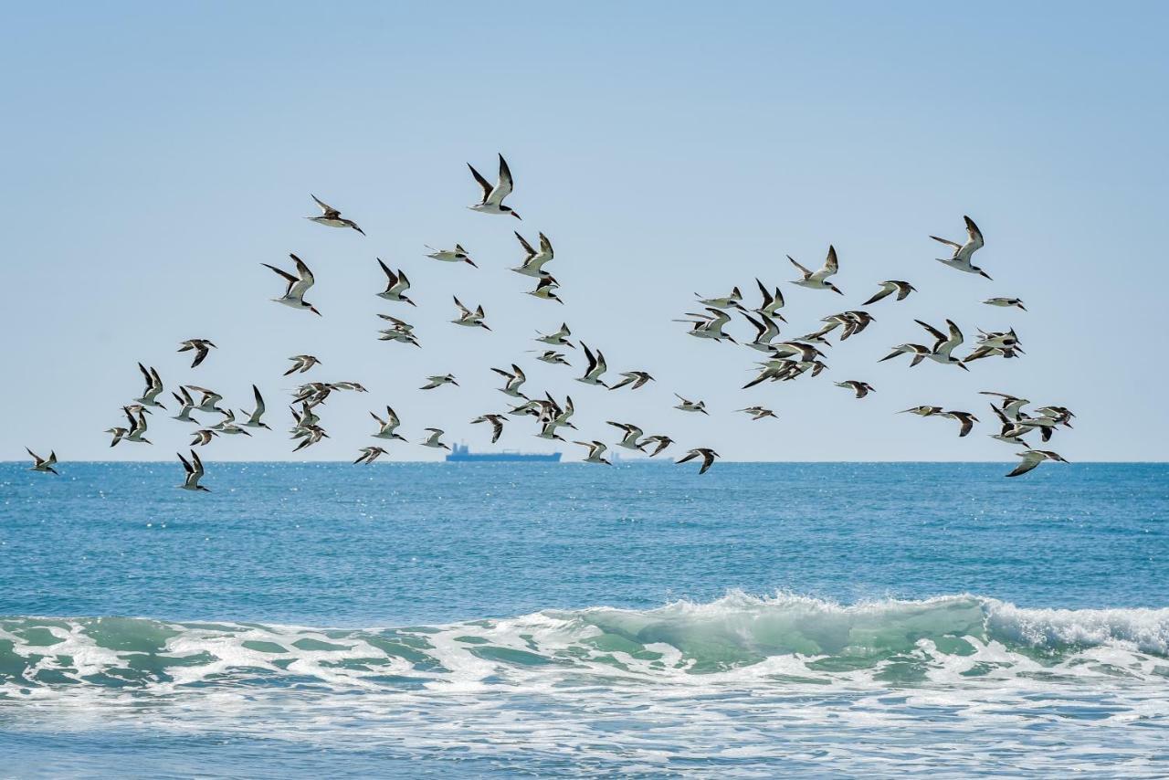 فيلا Sea Star كيب كانافيرال المظهر الخارجي الصورة